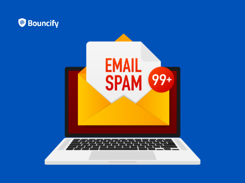 Email Verification and the Fight Against Spam and Fraud